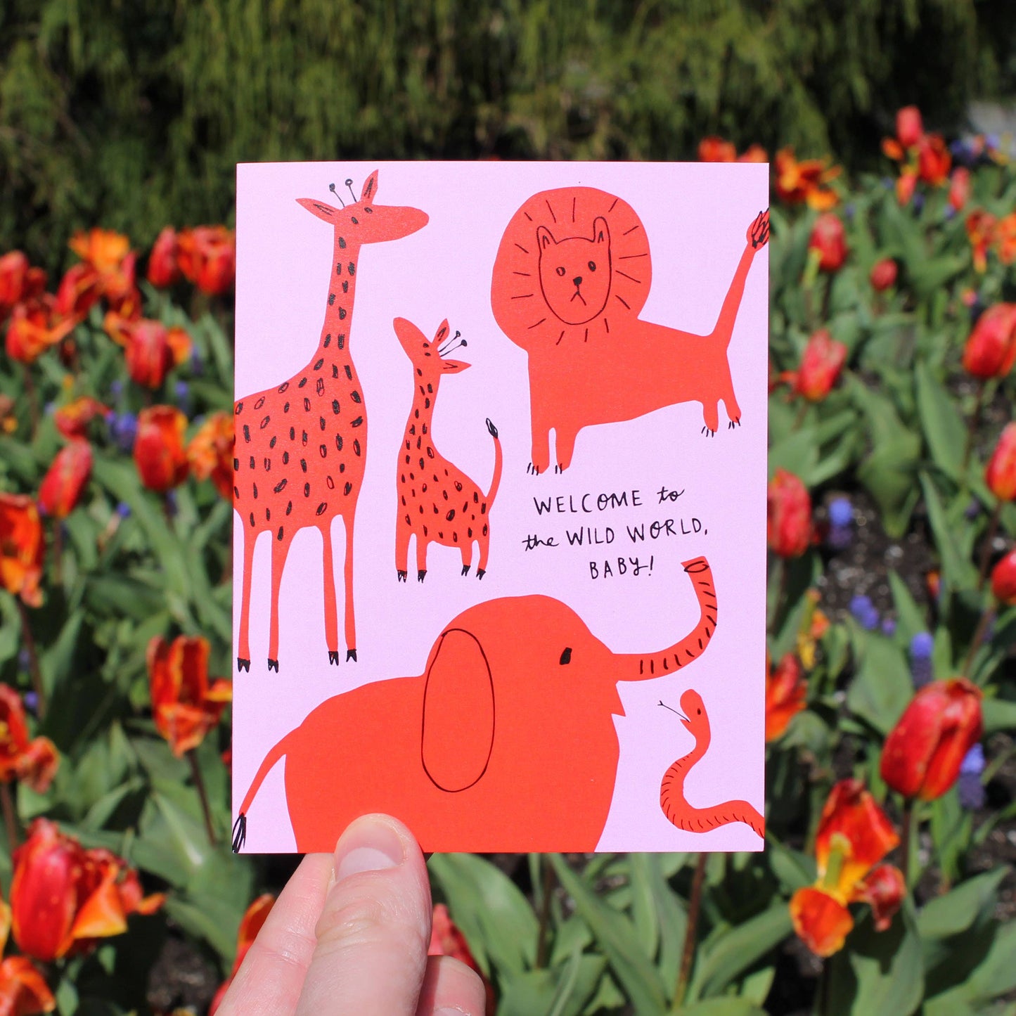 Welcome To The Wild World Baby Card