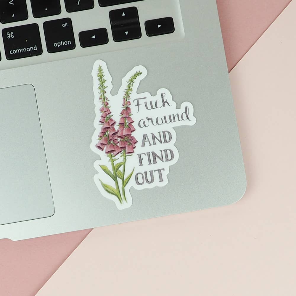 Fuck Around And Find Out Sticker