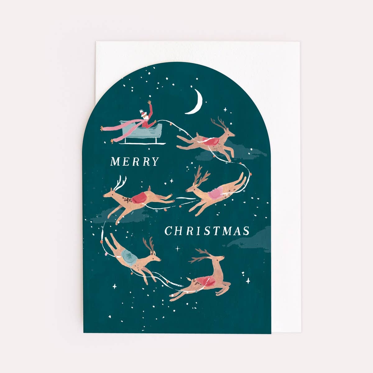 Merry Christmas Reindeer Holiday Card