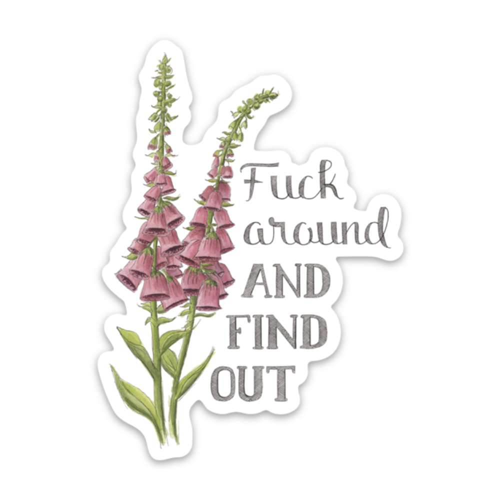 Fuck Around And Find Out Sticker